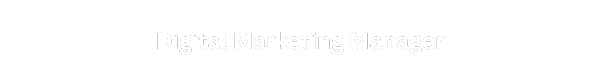 Digital Marketing Manager (6)